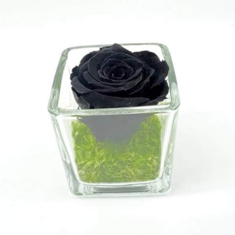 Mini Black C